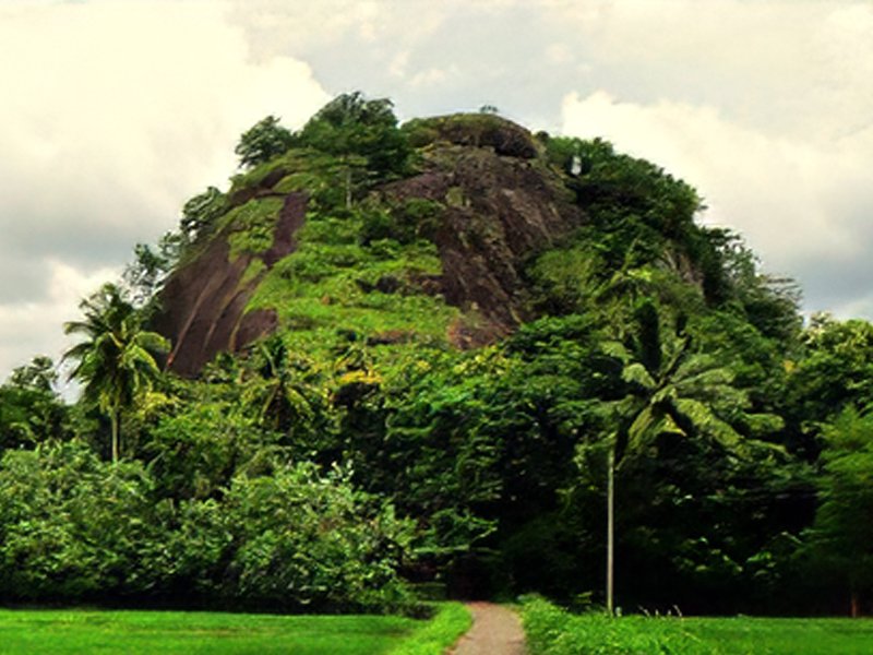 Dambadeniya Rock Fortress