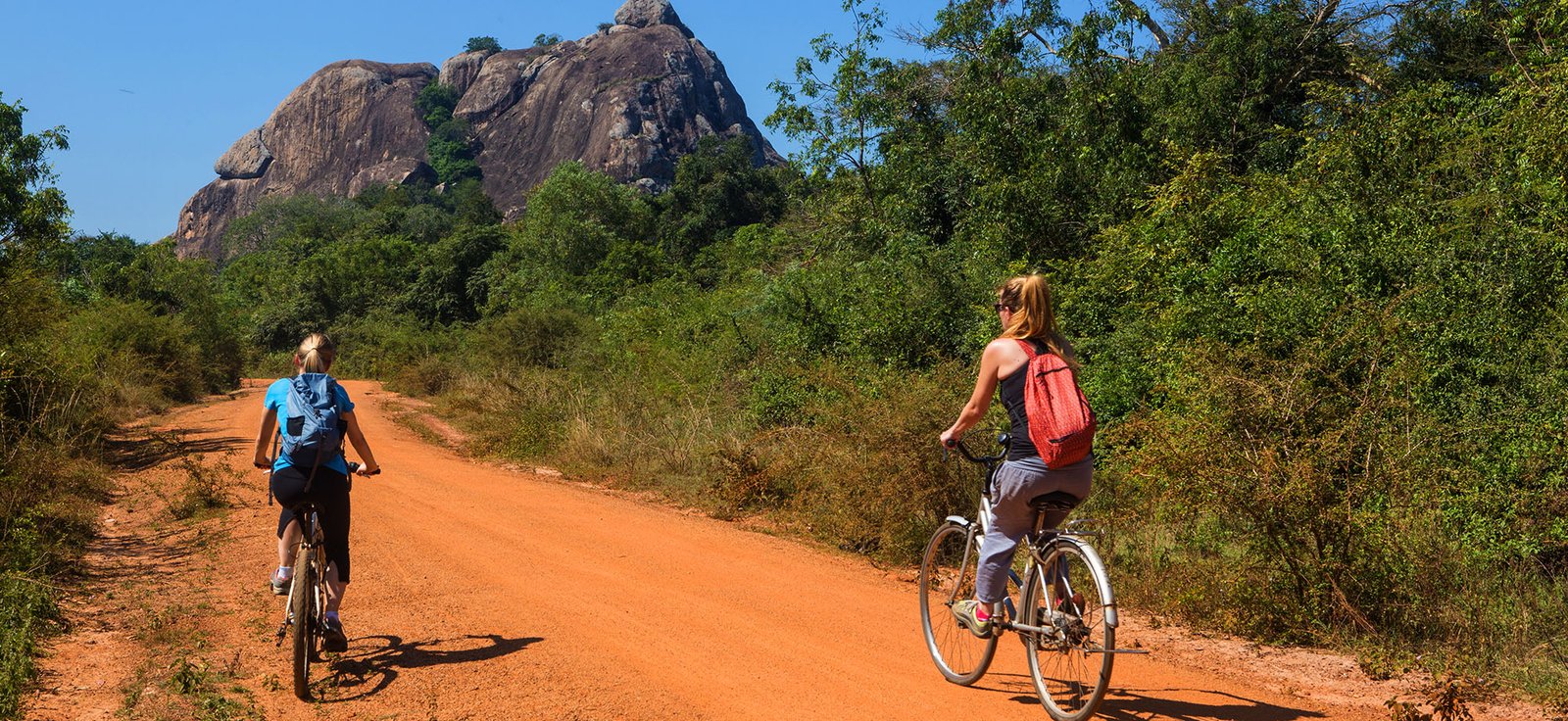 Guests on a guided heritage tour in Dambadeniya